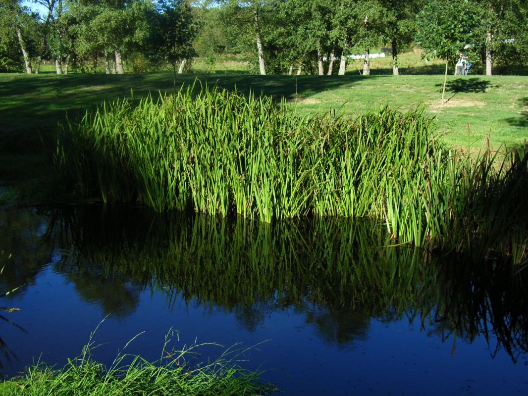 RIMG0616.JPG