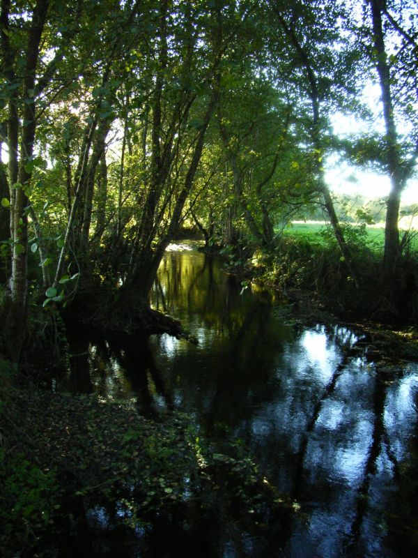 RIMG0632.JPG