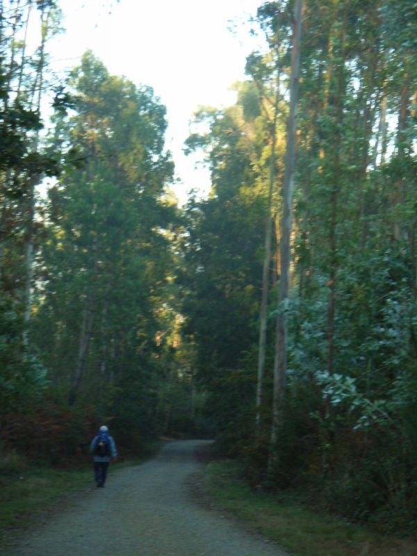 RIMG0658.JPG