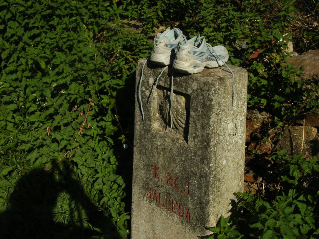RIMG0683.JPG