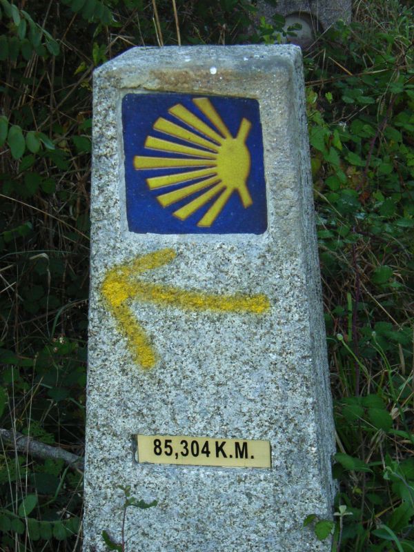 RIMG0863.JPG