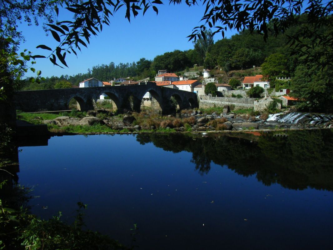 RIMG0871.JPG