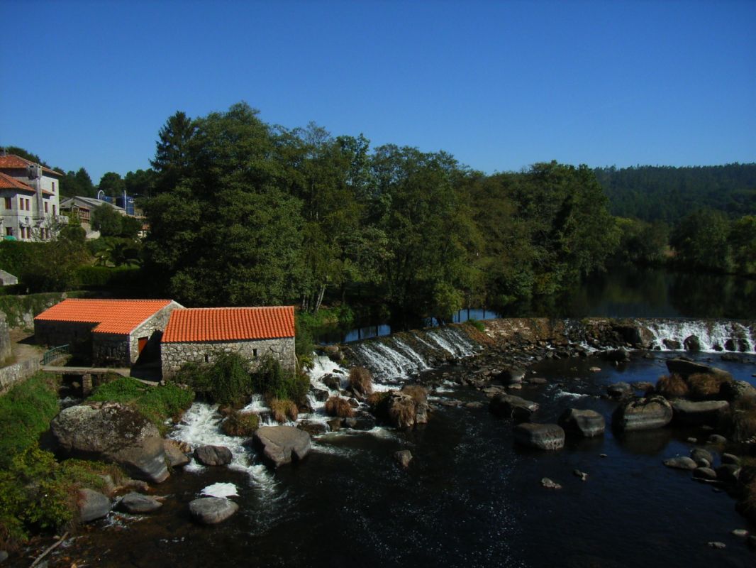 RIMG0878.JPG