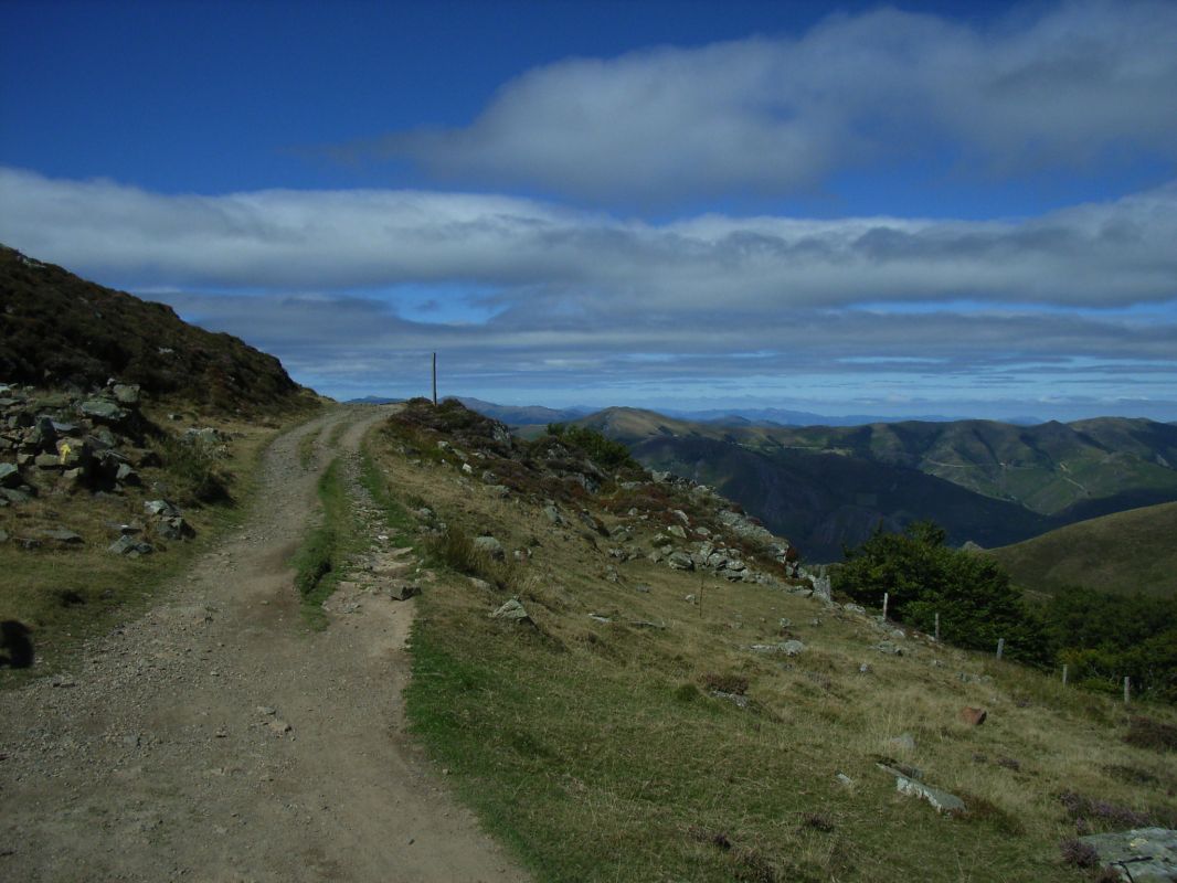 RIMG0120.jpg