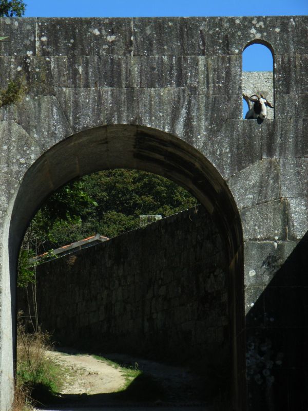 RIMG0882.JPG