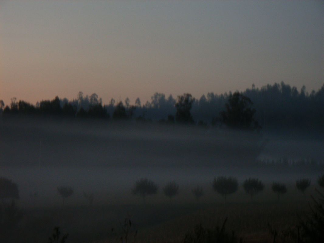 RIMG0927.JPG