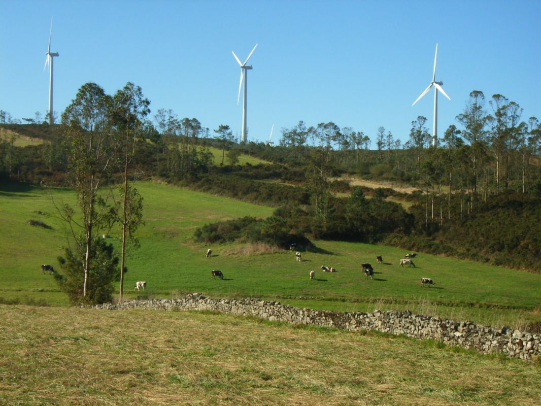 RIMG0966.JPG