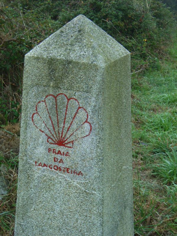 RIMG1143.JPG