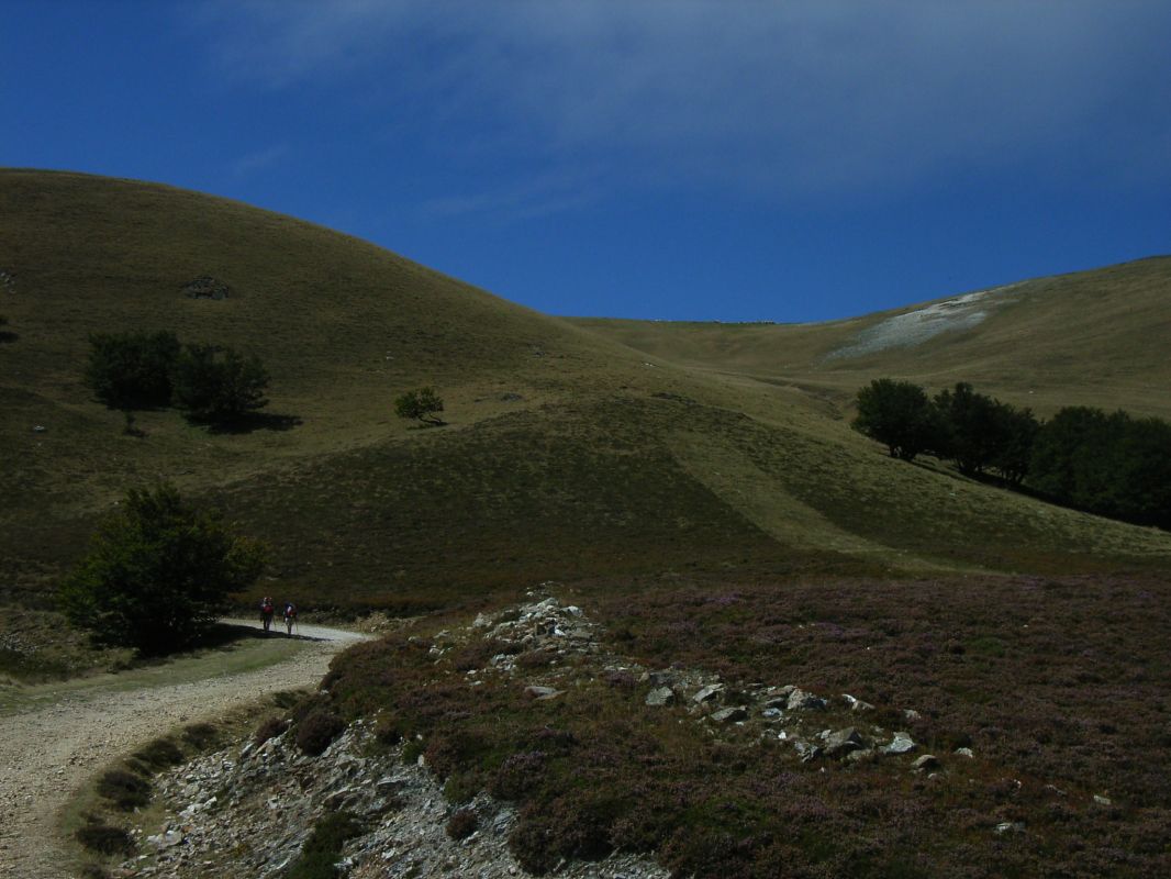 RIMG0132.jpg