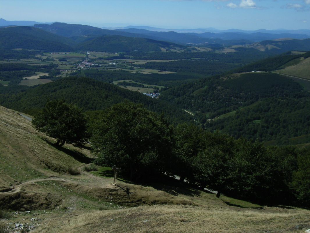 RIMG0135.jpg
