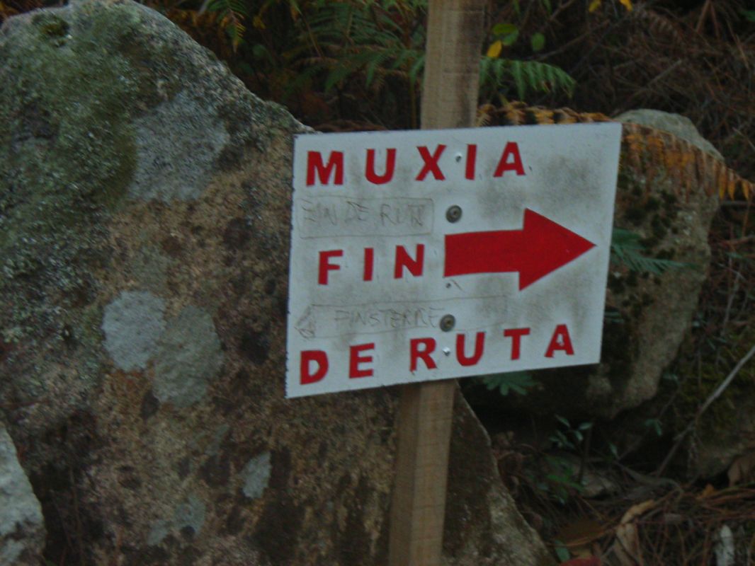 RIMG1541.JPG