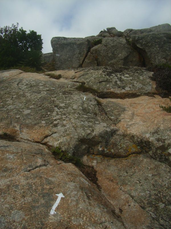 RIMG1637.JPG