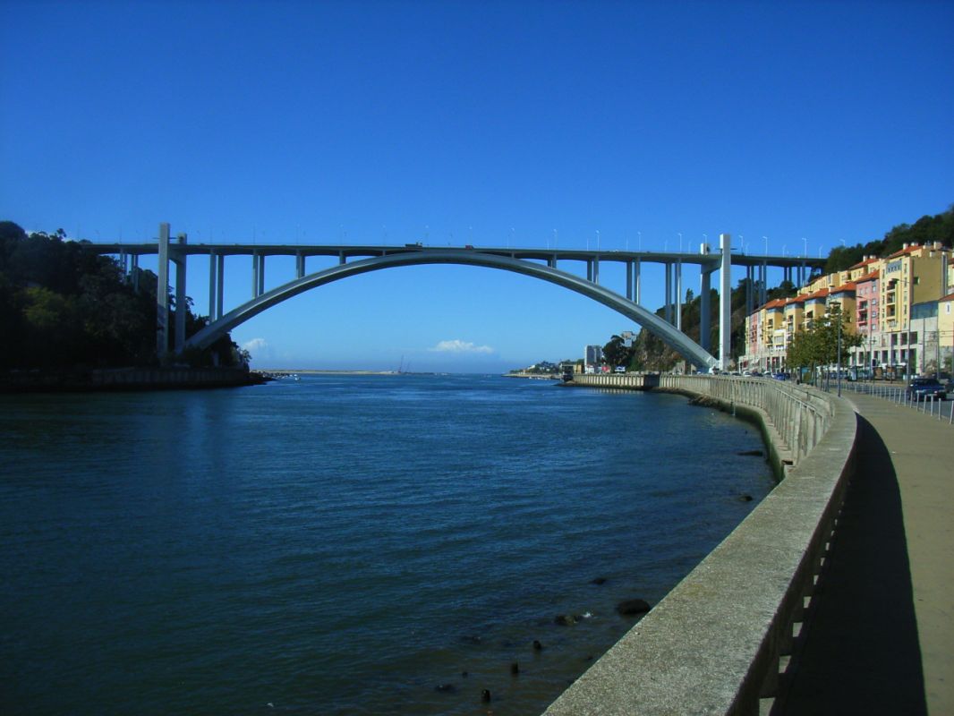 RIMG2310.jpg