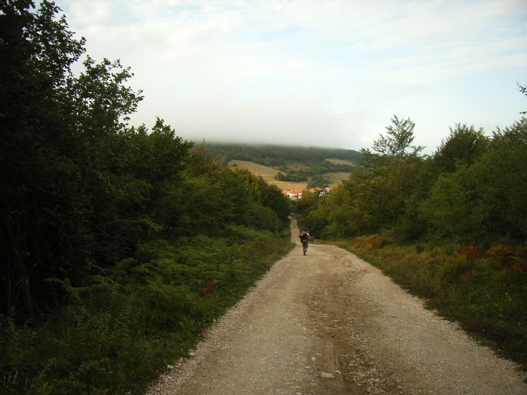 RIMG0164.jpg