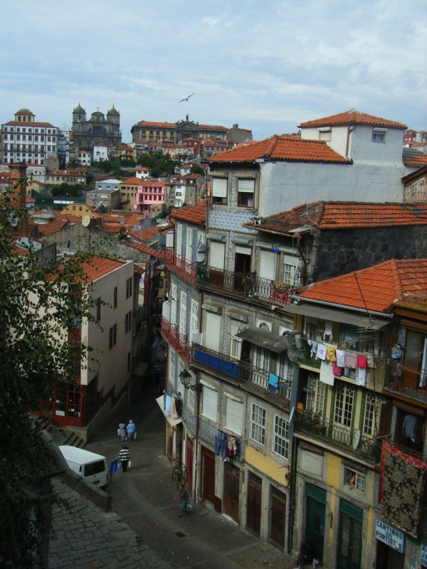 RIMG2004.jpg