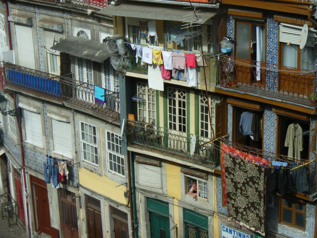RIMG2006.jpg