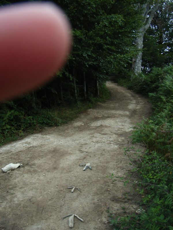 RIMG0167.jpg