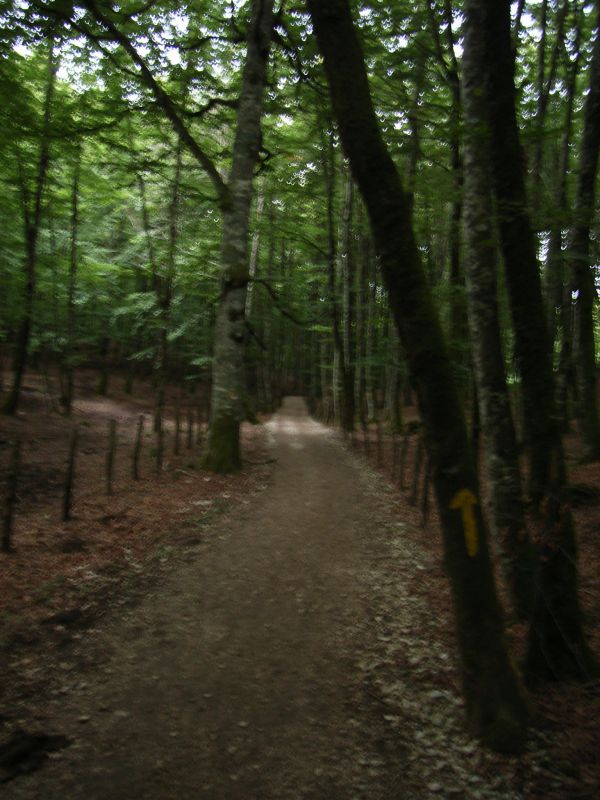 RIMG0168.jpg