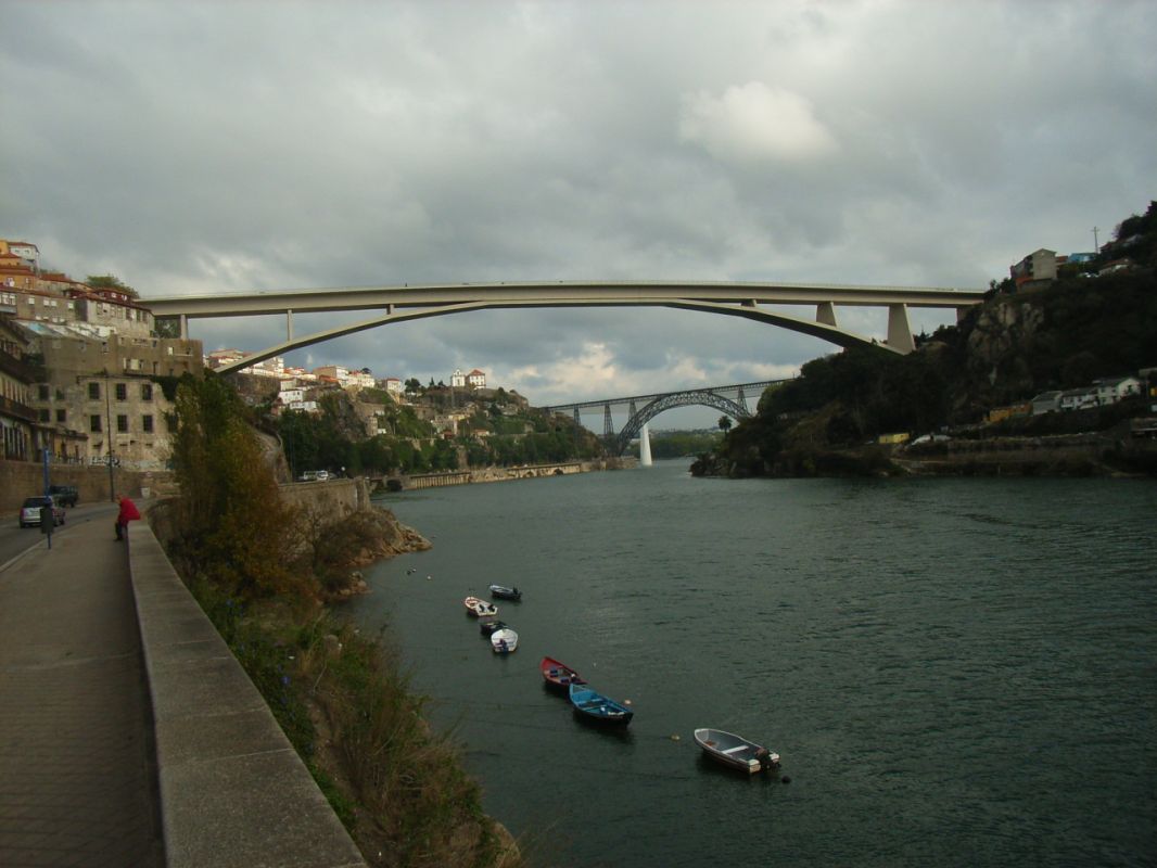 RIMG2226.jpg