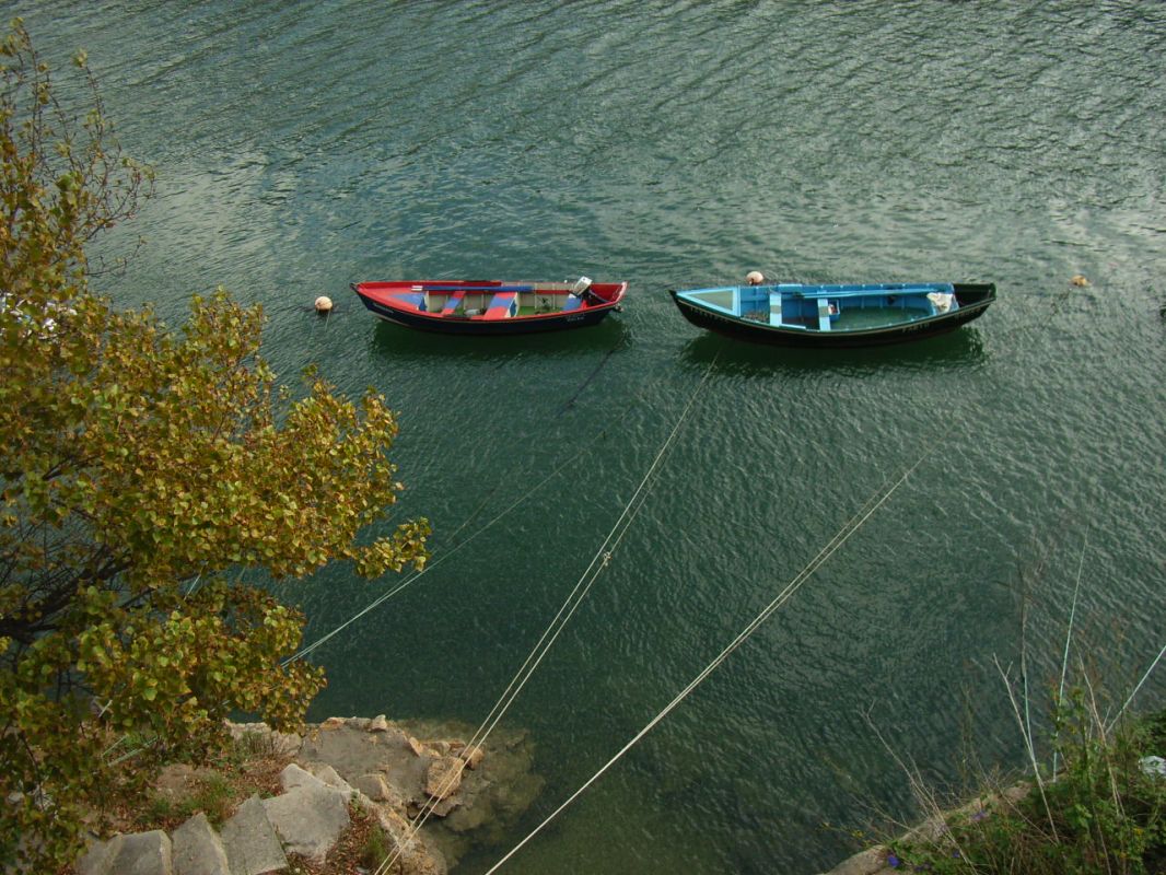 RIMG2227.jpg